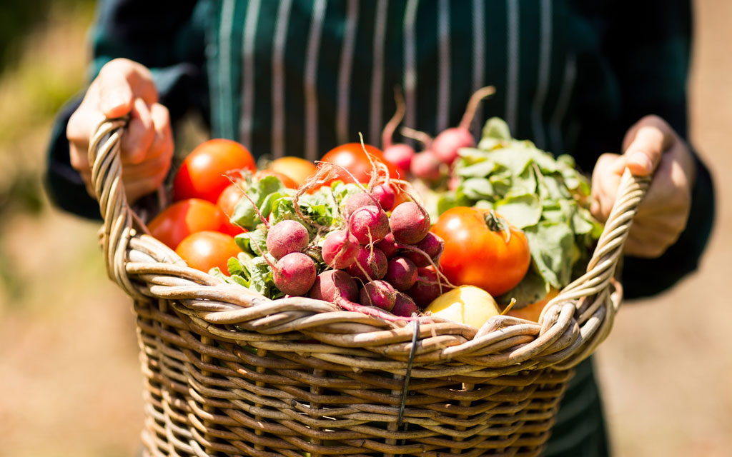 Basket of Vegetables