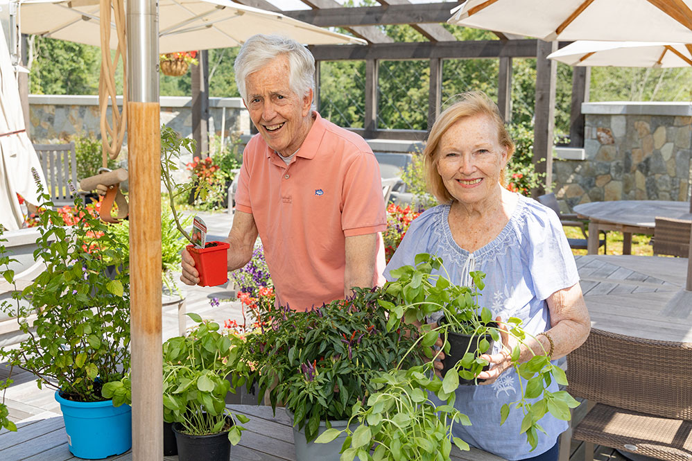 Senior couple planting flowers