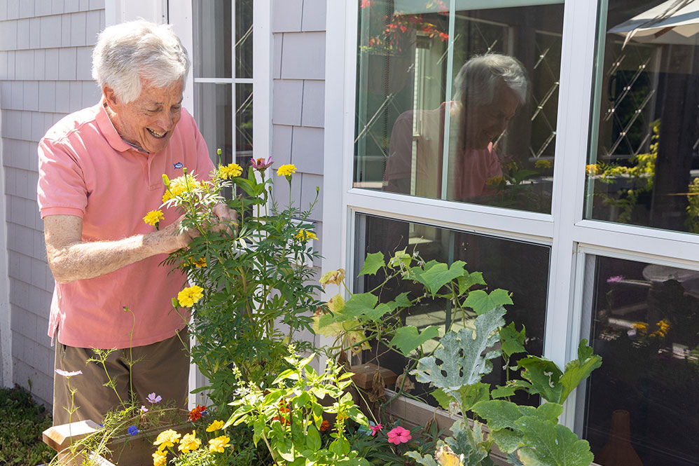 Senior man pruning flowers