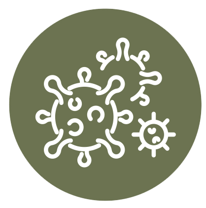 Infection